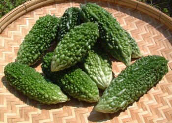 Kudret Narı Nedir? Faydaları Ve Zararları Nelerdir?