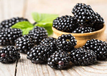 Böğürtlen Nedir? Faydaları Ve Zararları Nelerdir?