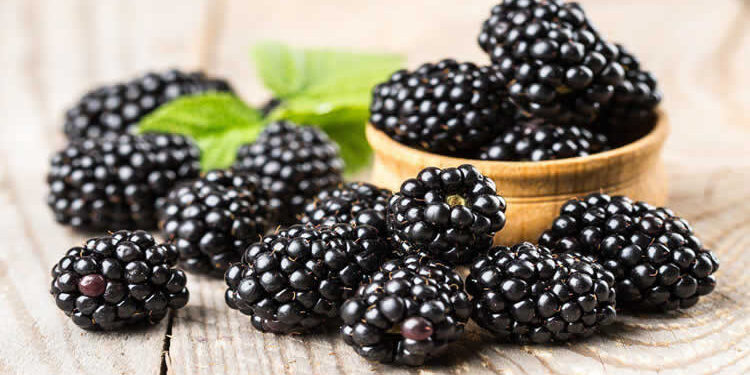 Böğürtlen Nedir? Faydaları Ve Zararları Nelerdir?