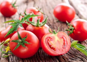 Domates Nedir? Faydaları Ve Zararları Nelerdir?