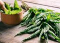 Isırgan Otu Nedir? Faydaları Ve Zararları Nelerdir?