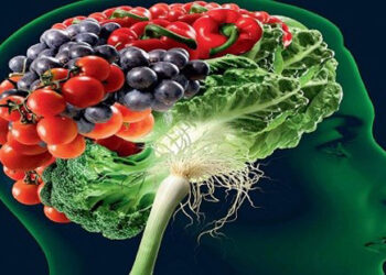 Alzheimer ve Beslenme İlişkisi