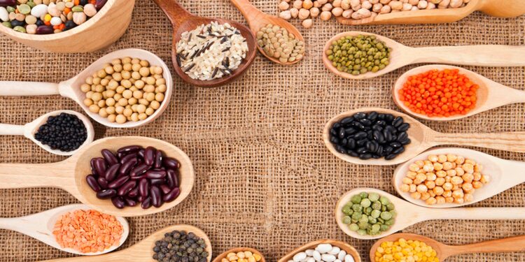 Her Yönüyle “Fitik Asit”