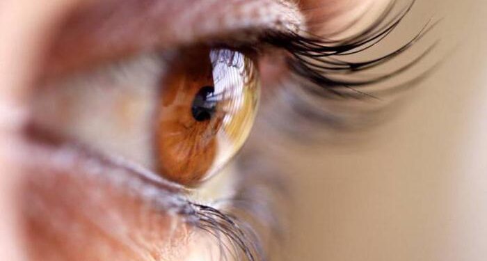 Yaşa Bağlı Maküler Dejenerasyon (AMD) ve Beslenmenin Rolü