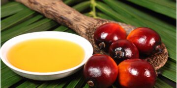 Palm Yağı ve Sağlığımıza Etkileri