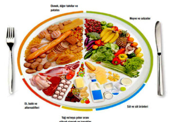 Porsiyon Kontrolünün Obezite Üzerine Etkisi