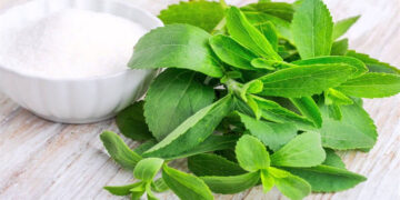 Şeker Tadında, Şekersiz Bitki ‘’Stevia!‘’