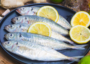 Hangi Mevsimde Hangi Balık Yenir?