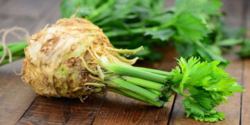 Kereviz Nedir? Faydaları Ve Zararları Nelerdir?