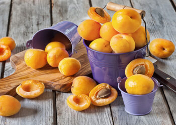 Yaz Meyvesi: Kayısı