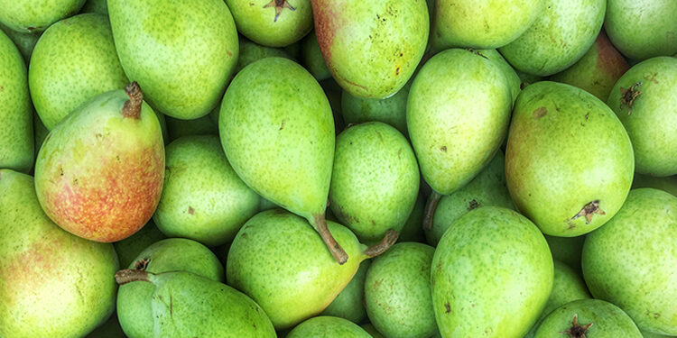 Armut Nedir? Faydaları Ve Zararları Nelerdir?
