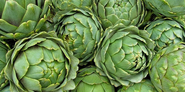 Enginar Nedir? Faydaları Ve Zararları Nelerdir?