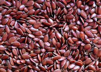 Keten Tohumu Nedir? Faydaları Ve Zararları Nelerdir?