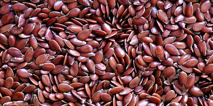 Keten Tohumu Nedir? Faydaları Ve Zararları Nelerdir?