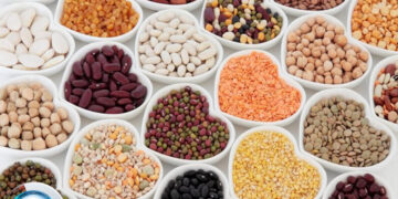 Kurubaklagillerin Sağlığımıza Etkileri