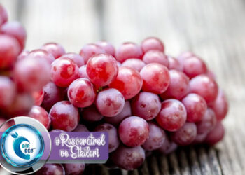 Resveratrol’ün Etkileri