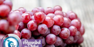 Resveratrol’ün Etkileri