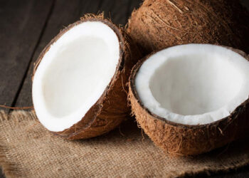 Hindistan Cevizi Nedir? Faydaları Ve Zararları Nelerdir?