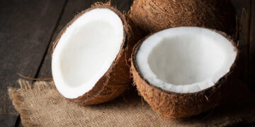 Hindistan Cevizi Nedir? Faydaları Ve Zararları Nelerdir?