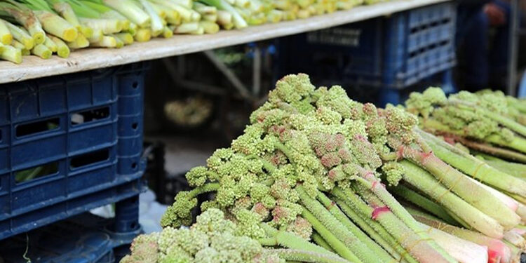 Işkın Nedir? Faydaları Ve Zararları Nelerdir?