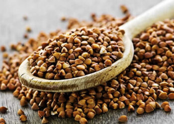 Karabuğday Nedir? Faydaları Ve Zararları Nelerdir?