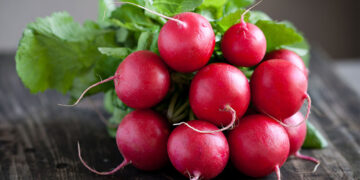 Turp Nedir? Faydaları Ve Zararları Nelerdir?