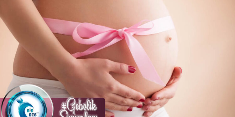 Gebelikte Görülen Beslenme Problemleri ve Çözüm Önerileri