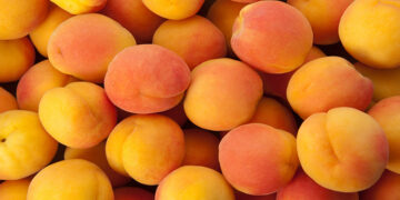 Kayısı Nedir? Faydaları Ve Zararları Nelerdir?