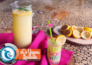 Ev Yapımı Limonata Tarifi