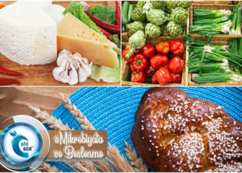 Mikrobiyata ve Beslenme