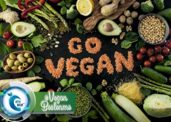 “Popüler Diyetler” İnceleme Serisi: Vegan Beslenme