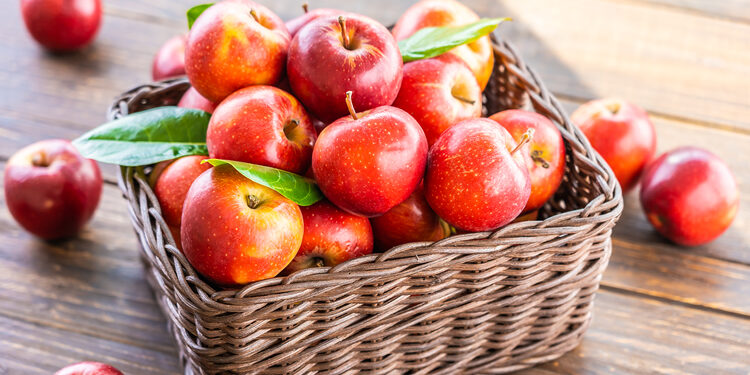 Elma Nedir? Faydaları Ve Zararları Nelerdir?