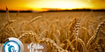 Glüten Nedir? Glütensiz Diyet Nedir? Kimler Uygulayabilir?