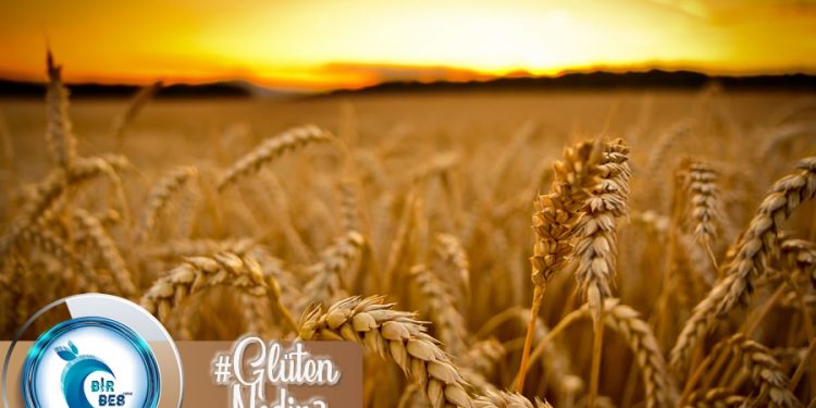 Glüten Nedir? Glütensiz Diyet Nedir? Kimler Uygulayabilir?