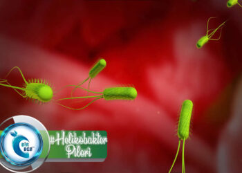 Helikobakter Pilori Nedir? Beslenme Üzerine Etkisi Nasıldır?