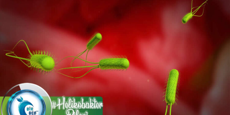 Helikobakter Pilori Nedir? Beslenme Üzerine Etkisi Nasıldır?