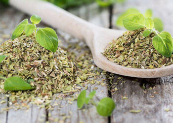 Kekik Nedir? Faydaları Ve Zararları Nelerdir?