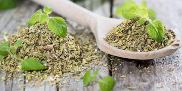 Kekik Nedir? Faydaları Ve Zararları Nelerdir?