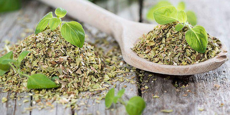 Kekik Nedir? Faydaları Ve Zararları Nelerdir?