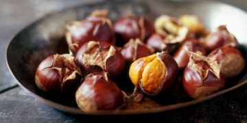 Kestane Nedir? Faydaları Ve Zararları Nelerdir?