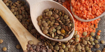 Mercimek Nedir? Faydaları Ve Zararları Nelerdir?