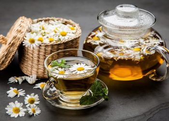 Papatya Bitkisi Ve Papatya Çayının İnsan Sağlığına Etkileri