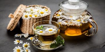 Papatya Bitkisi Ve Papatya Çayının İnsan Sağlığına Etkileri