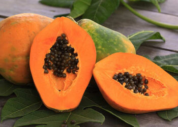 Papaya Nedir? Faydaları Ve Zararları Nelerdir?