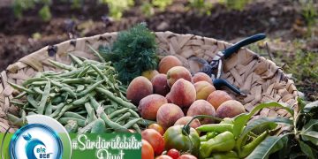 Sağlıklı ve Sürdürülebilir Diyet Nedir? Özellikleri Nelerdir? Uygulanması Mümkün Müdür?