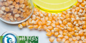 Yüksek Fruktozlu Mısır Şurubu (HFCS) Nedir? Etkileri Nelerdir?