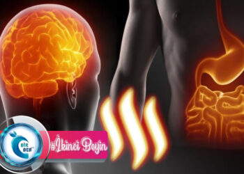 Vücudumuzun İkinci Beyni: BAĞIRSAK!