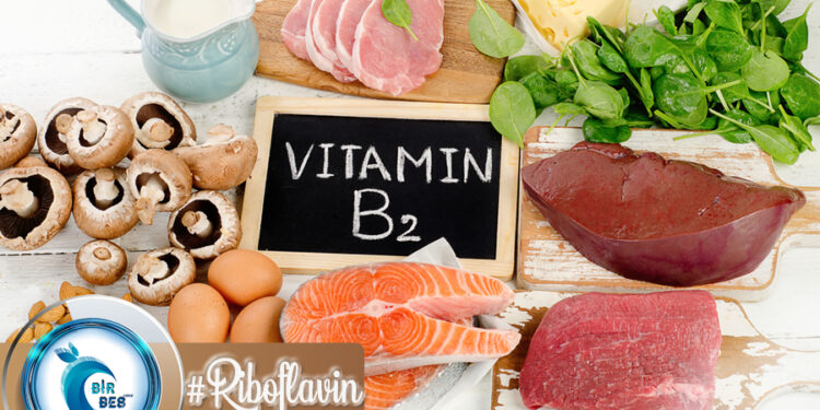 B2 Vitamini (Riboflavin) Nedir? Hangi Besinlerde Bulunur? Eksikliğinde Neler Görülür?