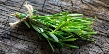 Biberiye Nedir? Faydaları Ve Zararları Nelerdir?