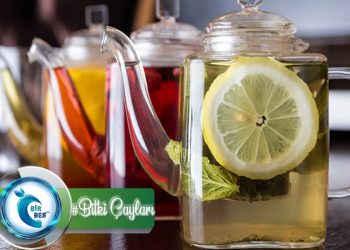 Bitki Çayları Nelerdir? Nasıl Hazırlanır? Hangi Hastalıkları Tedavi Ederken Kullanılır?
